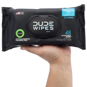 DUDE Wipes